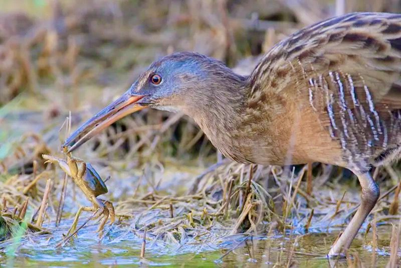 Greg Lavaty PBase.com